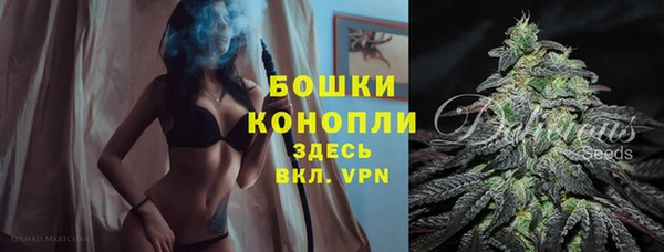 гидра Бородино