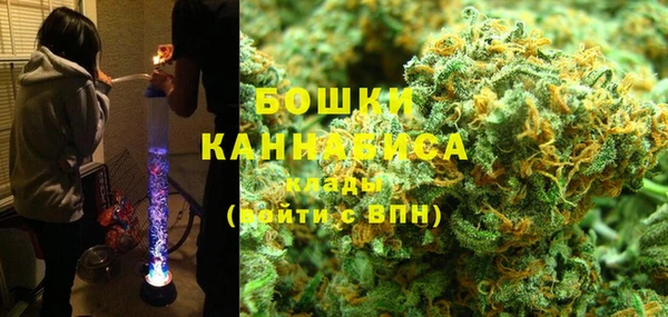 гидра Бородино