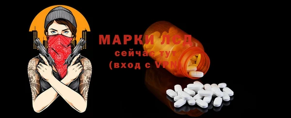 гидра Бородино
