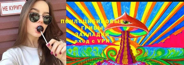 гидра Бородино
