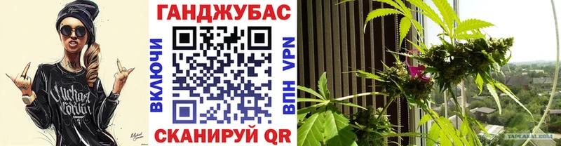 Купить закладки  Медвежьегорск  Канабис гибрид 